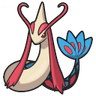 Milotic